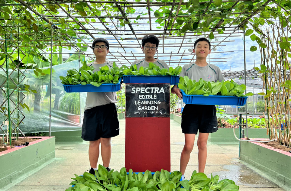 Three boys hold blue trays of leafy greens at the Spectra Edible Learning Garden sign inside a greenhouse.
